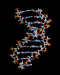 DNA