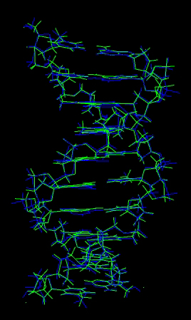 minimized DNA