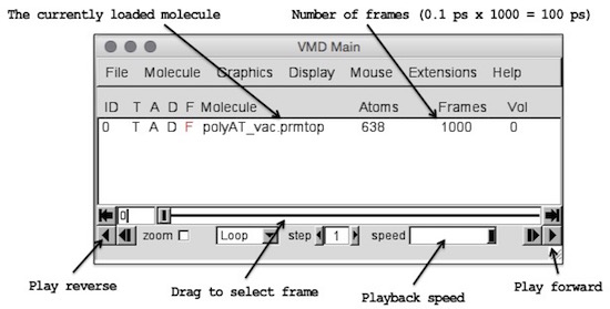 VMD viewer