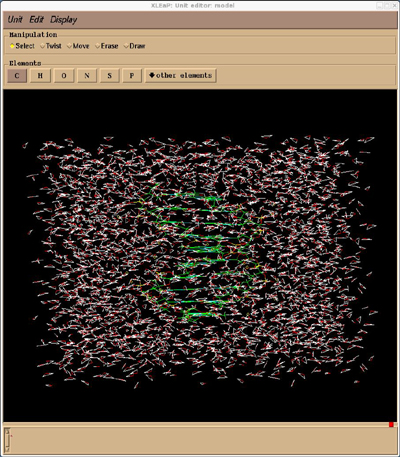 solvated molecule