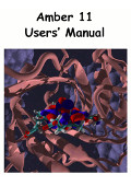 Amber 11 User's Manual