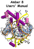 Amber 8 User's Manual