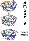 Amber 9 User's Manual