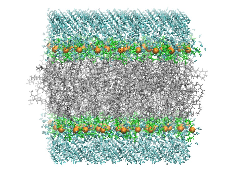 DOPC_128_Initial_Structure