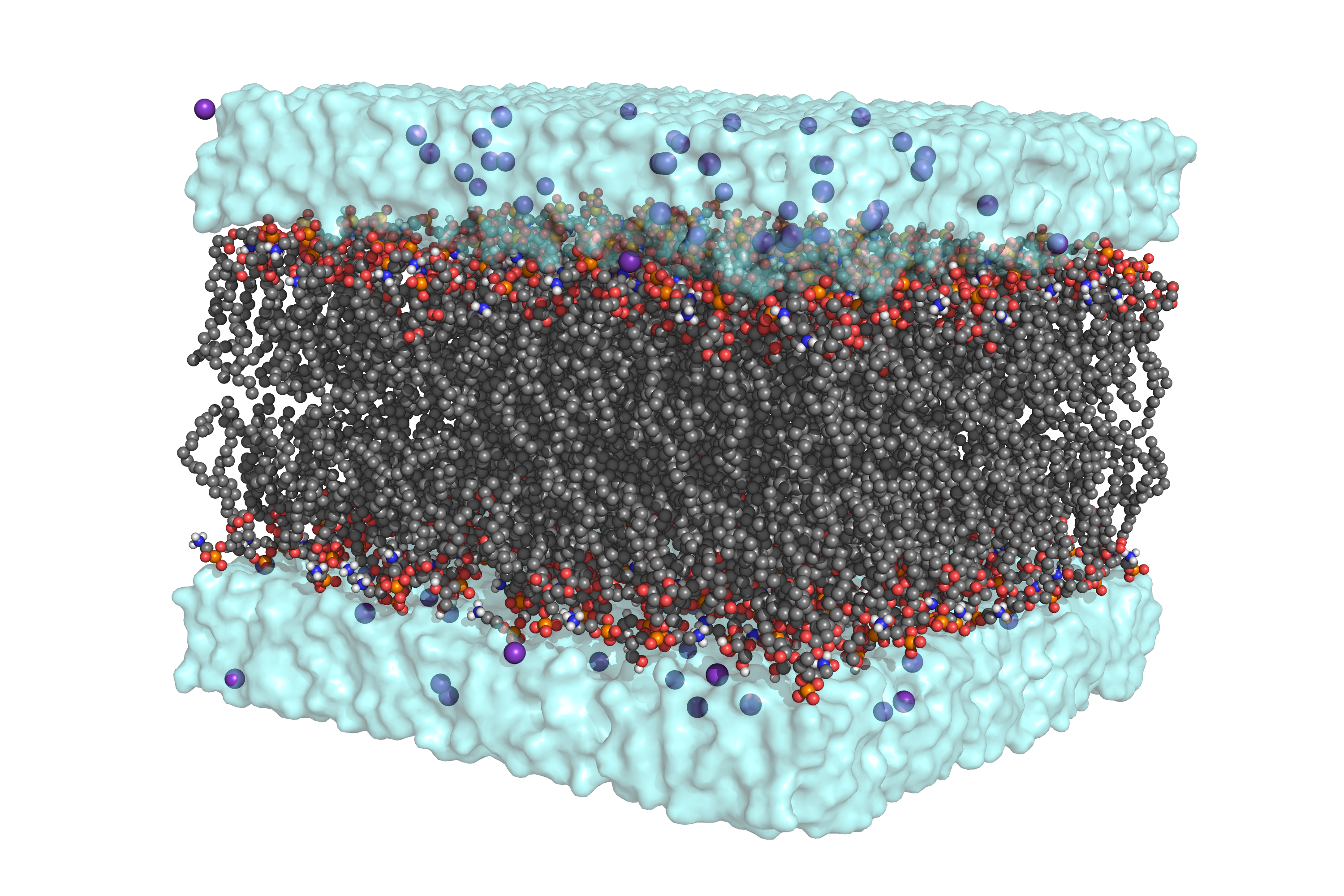 membrane_fig