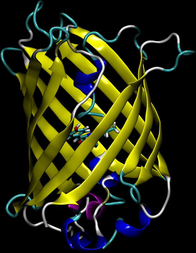 DNA