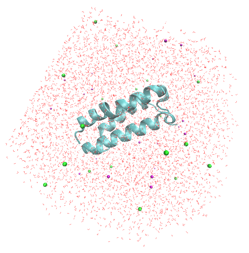 ramp1_wions_water vmd output